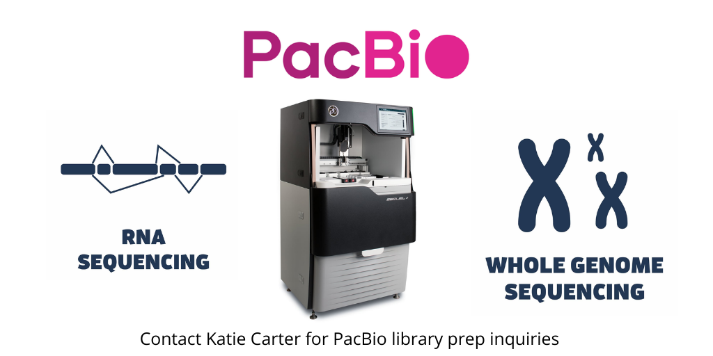 Pac Bio Sequencing