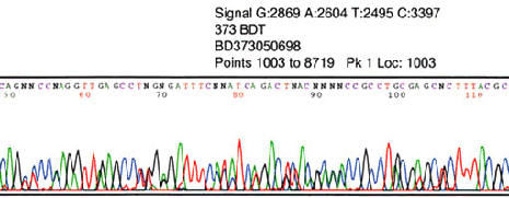 Example of Noisy Sequencing where spikes are not consistent
