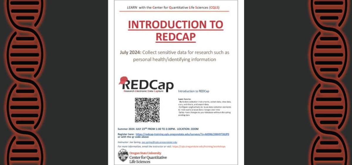 REDCap Workshop July 2024