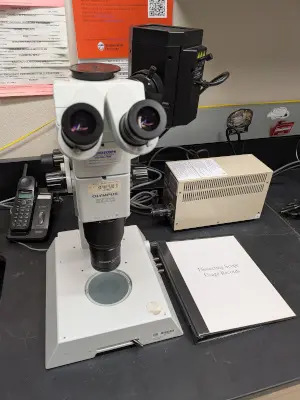 Olympus SZX12 microscope