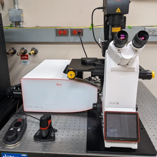 Leica Stellaris 5 Confocal Microscope